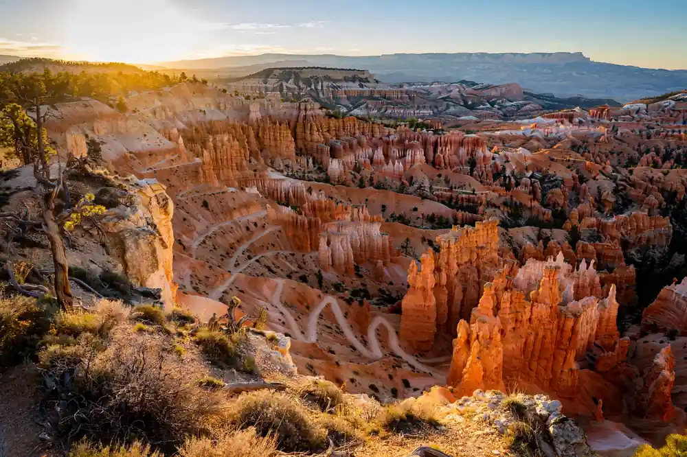 Bryce Canyon amphitheater filled with orange hoodoo spires at sunrise with a switchback trail