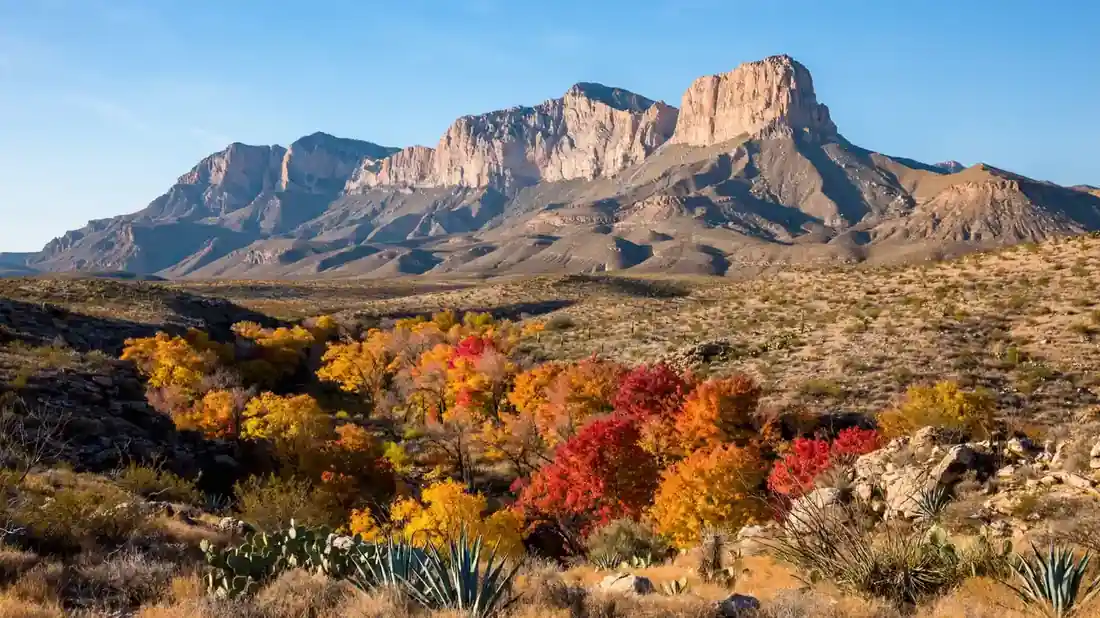 Guadalupe Mountains peaks above fall maple color in Texas
