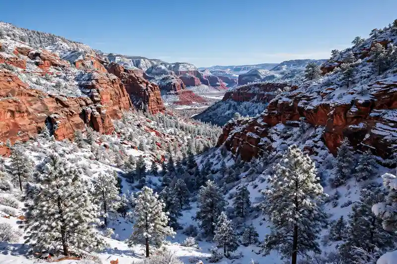 Best National Parks to Visit in Winter — step-by-step travel guide covering highlights, costs and smart tips for visitors in the USA